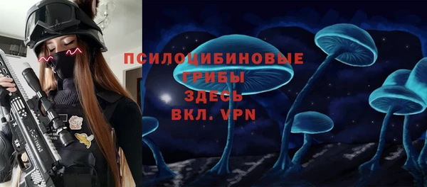 эйфоретик Алексин