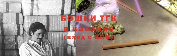 гидра Арсеньев