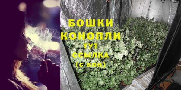 PSILOCYBIN Алзамай