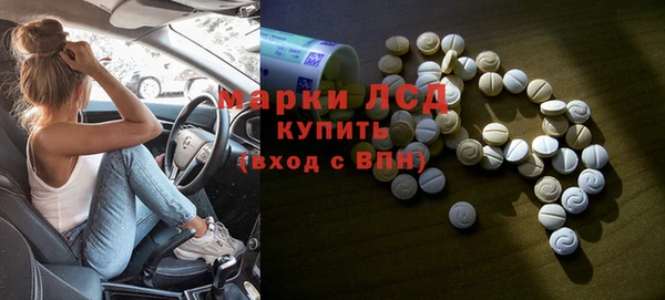 PSILOCYBIN Алзамай