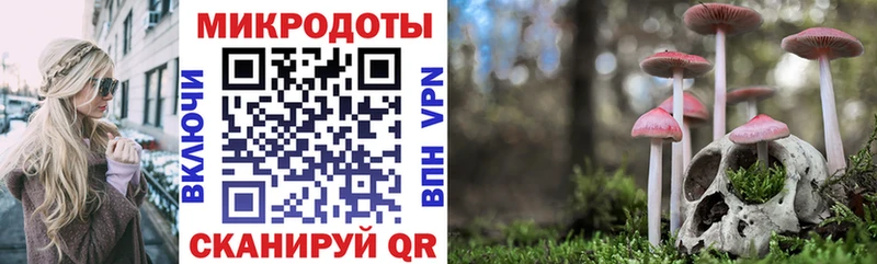Купить где  Сегежа  Галлюциногенные грибы Psilocybine cubensis 